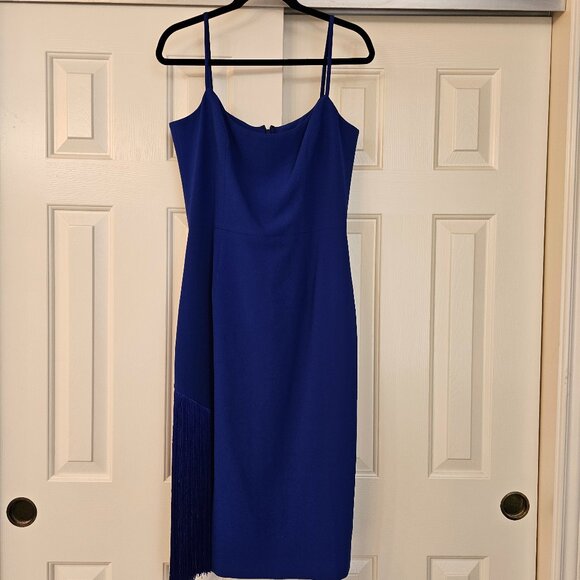 Rory Fringe Cocktail Dress - Picture 5 of 12